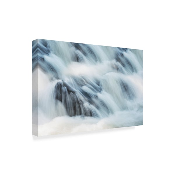 Philippe Sainte-Laudy 'Liquid Abstraction' Canvas Art,12x19